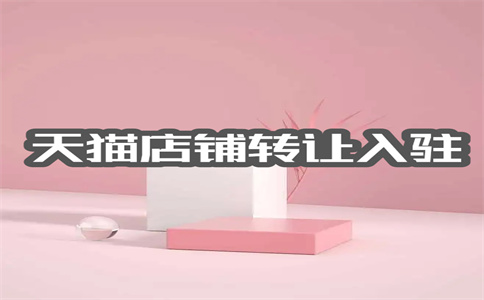 入驻天猫旗舰店