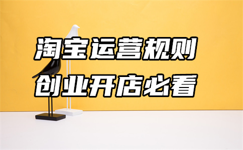 3月计划