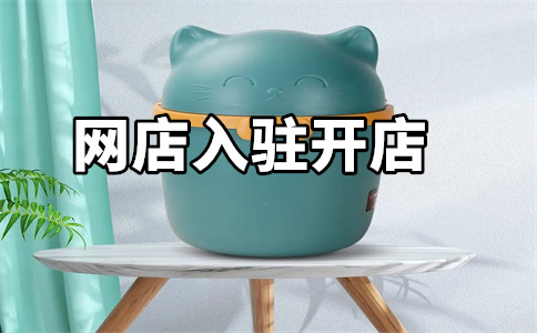 入驻天猫旗舰店